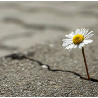 La Résilience